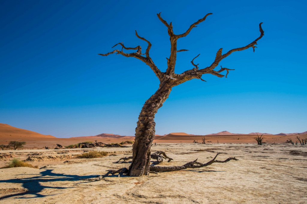 Typische Landschaftsform im Deadvlei